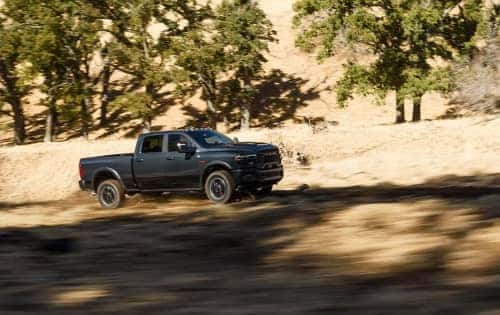ram image 5